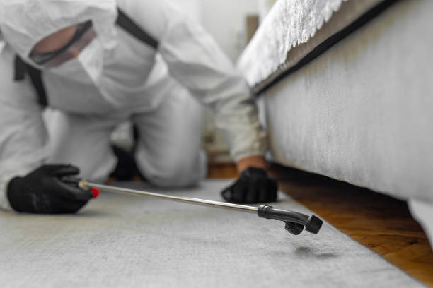 Professional Termite Control technician working in Lonoke County County, AR